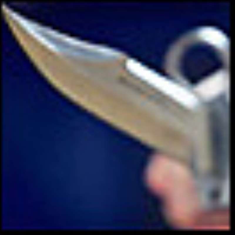 1knife